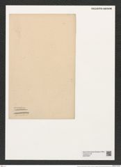 Triceratium arcuatum Shadb. (de-Toni-Nr.: Genus 140, Species 4018) Zeichnungen Sammlung Grunow (NHMW-BOT-W0376607)